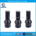 Auto Fastener High Stength Black Wheel Schrauben